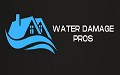 Water Damage Pros of Alexandria