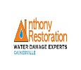 Anthony Restoration of Gainesville