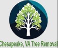 Chesapeake, VA Tree Removal