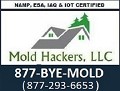 MoldHackers, LLC